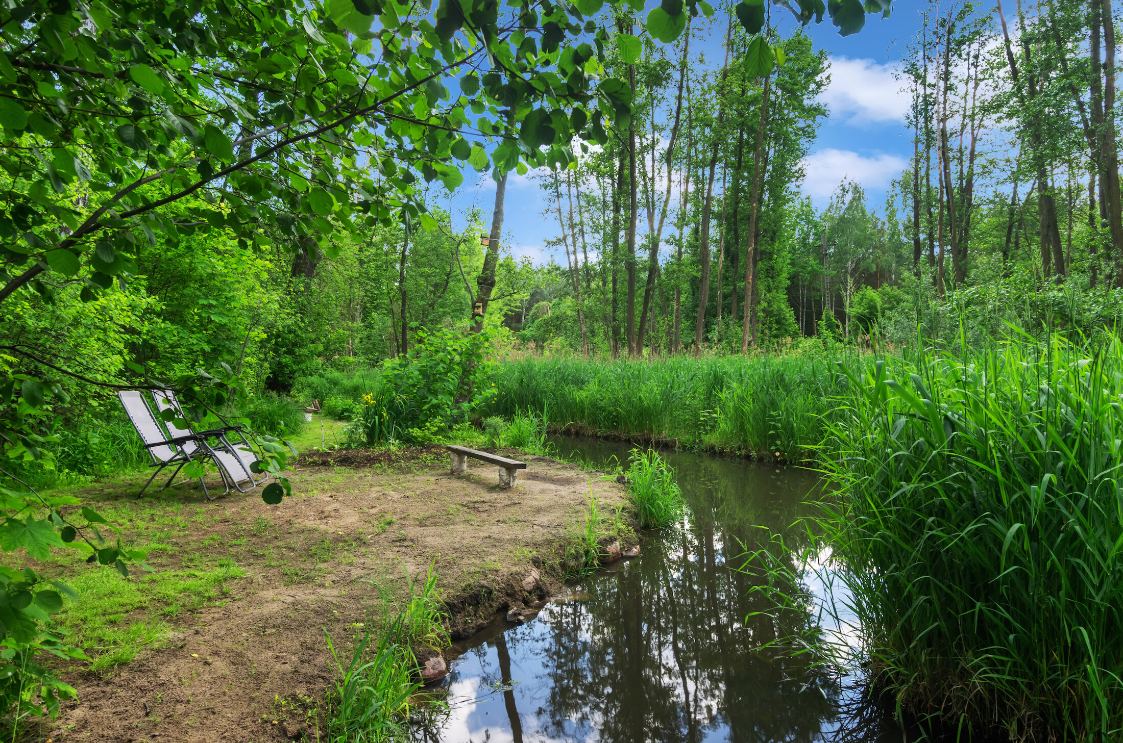 Leżaki nad wodą z poziomu ziemi